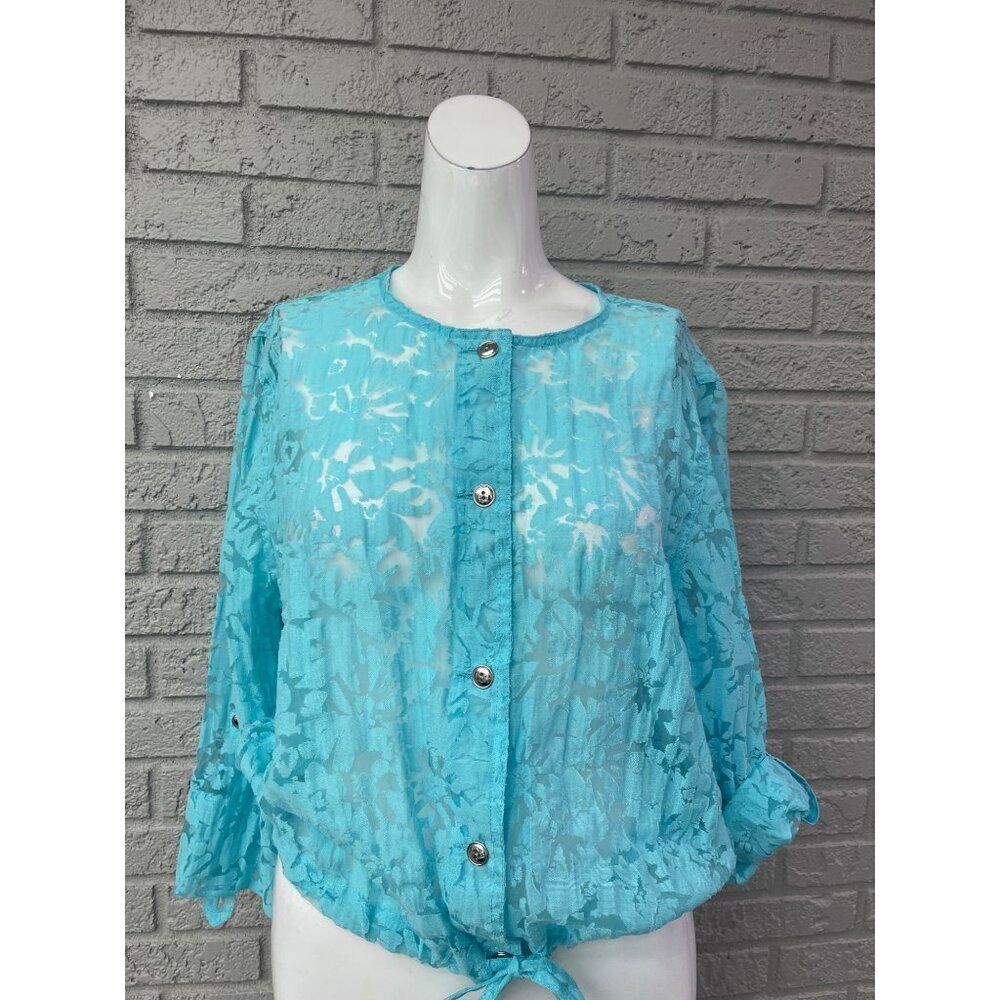 Lark Lane Women's Blue Sheer Floral Long Sleeve Blouse Size 16
